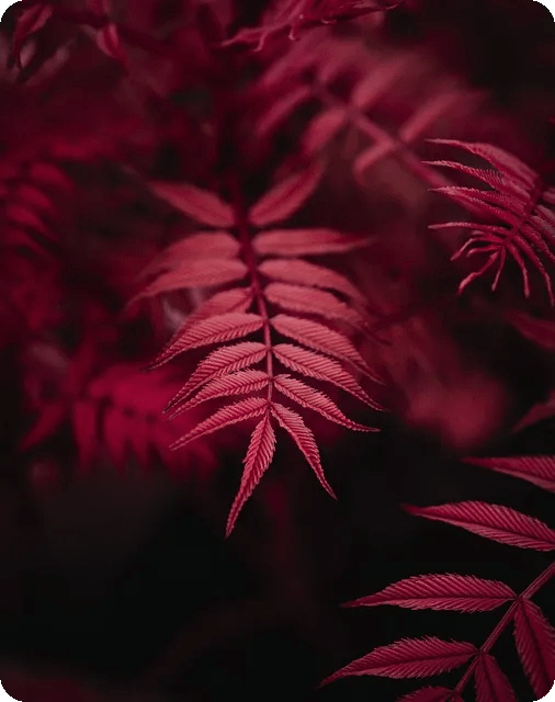 스마트폰 네트워크 오류 간단 해결법