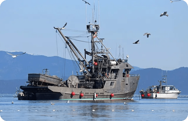 Revo Uninstaller로 프로그램 강제삭제하는 법