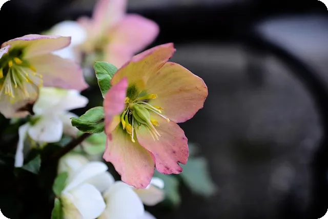 Revo Uninstaller로 프로그램 강제삭제하는 법