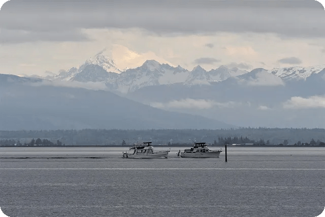 컴퓨터 소리가 안나올때 원인과 해결방법은