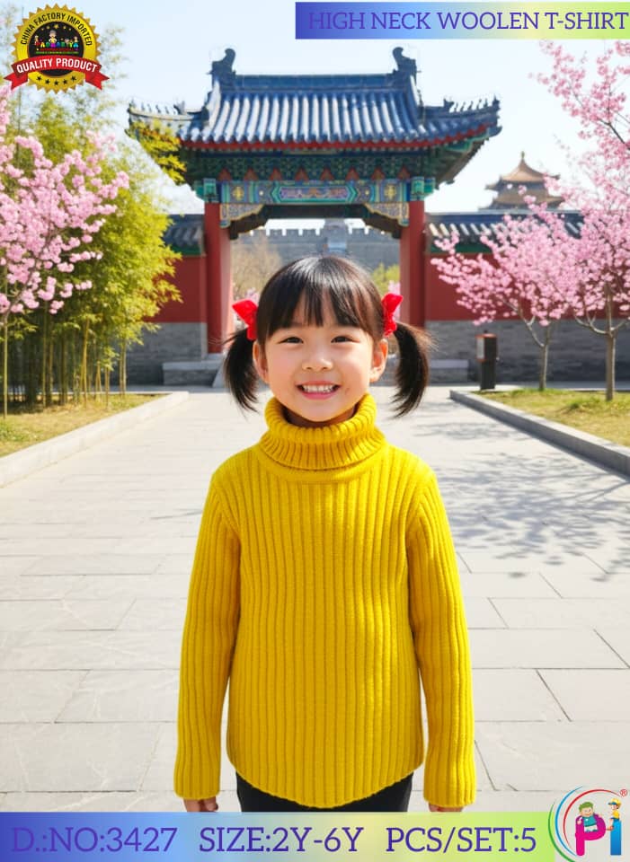FANCY WOOLEN SWEATER