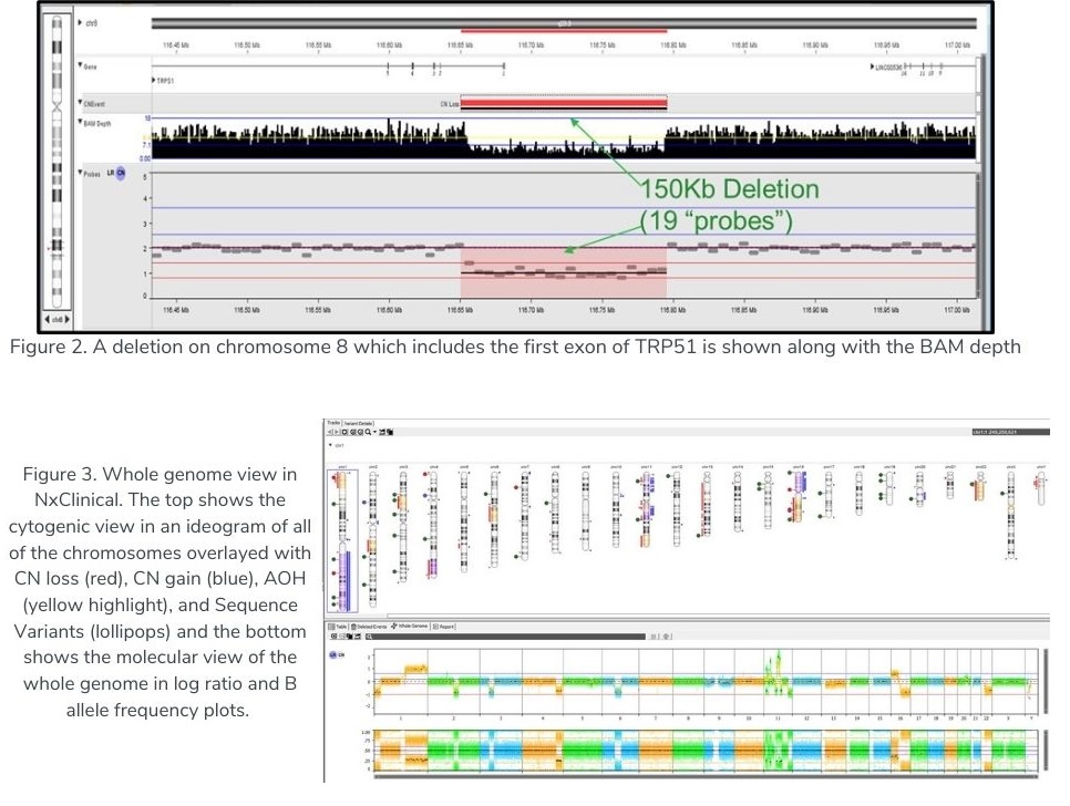 Difference Between Cnv Signature From Sigprofilerassignment And - Retina Gradient Photos for Desktop