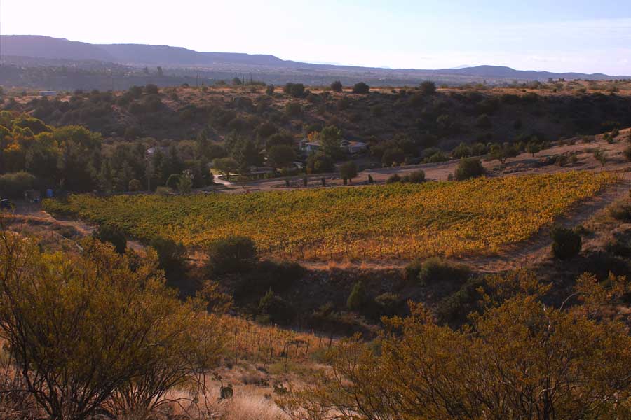 Eric Glomski & Page Springs Cellars · official source image