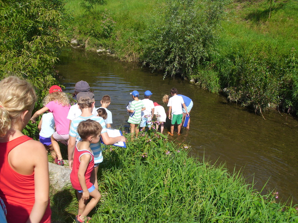 Natur pur...welch ein Erlebnis