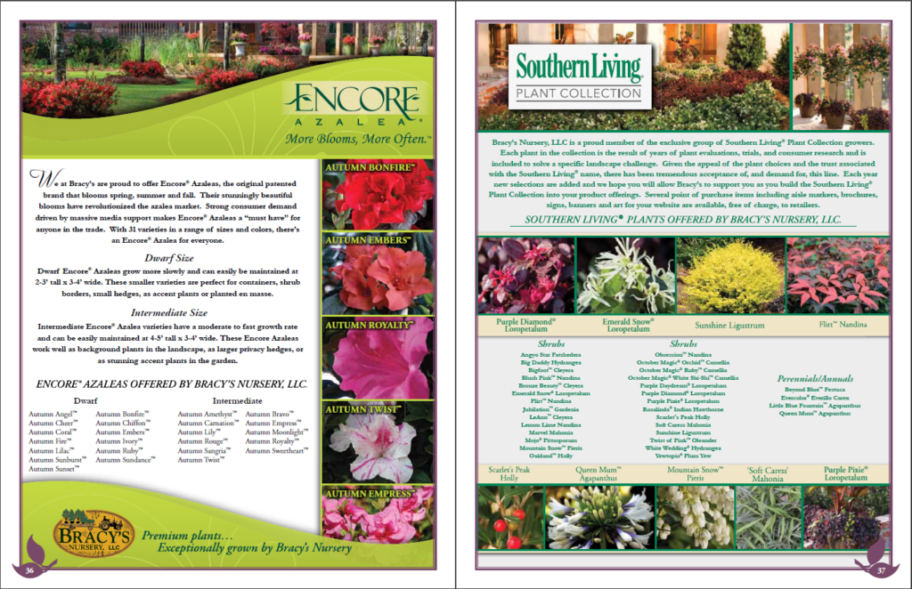 Succulent plants are easy to take care of and look beautiful in different settings. Plant Catalogs Discover Our Selection Of Plant Catalogs To Get Inspiration