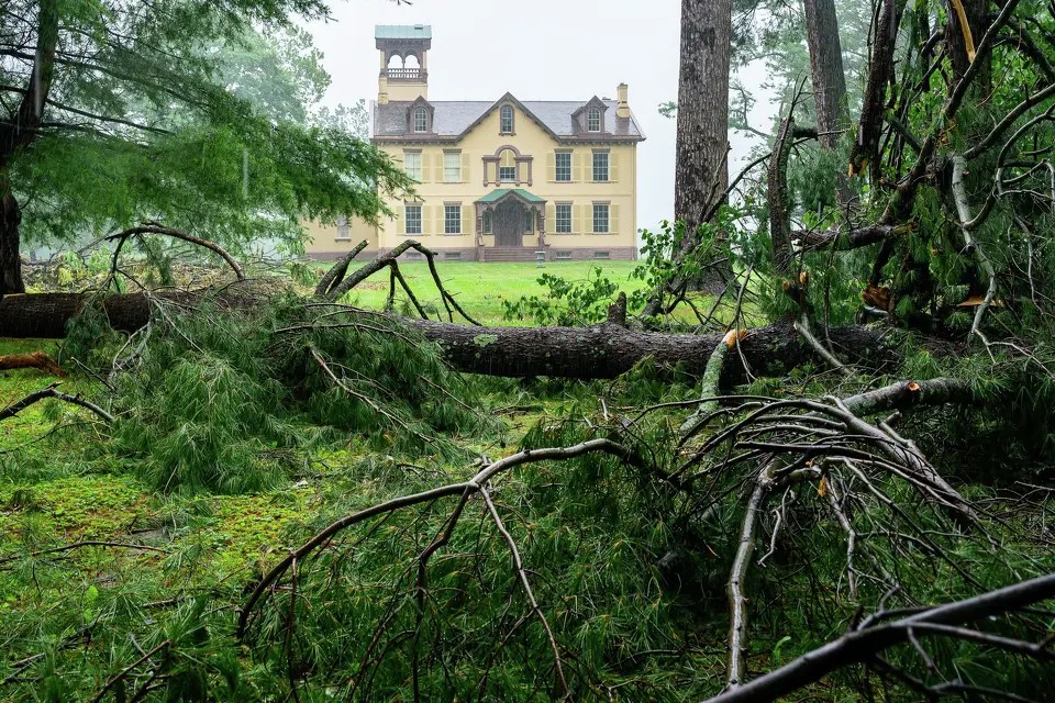 Storm damage with a large fallen tree