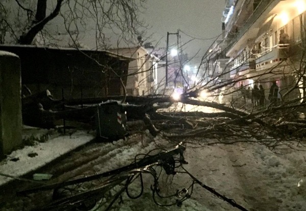 ΣΤΟ ΝΟΣΟΚΟΜΕΙΟ 29ΧΡΟΝΟΣ ΦΑΡΣΑΛΙΝΟΣ ΠΟΥ ΤΡΑΥΜΑΤΙΣΤΗΚΕ ΑΠΟ ΠΤΩΣΗ ΔΕΝΔΡΟΥ