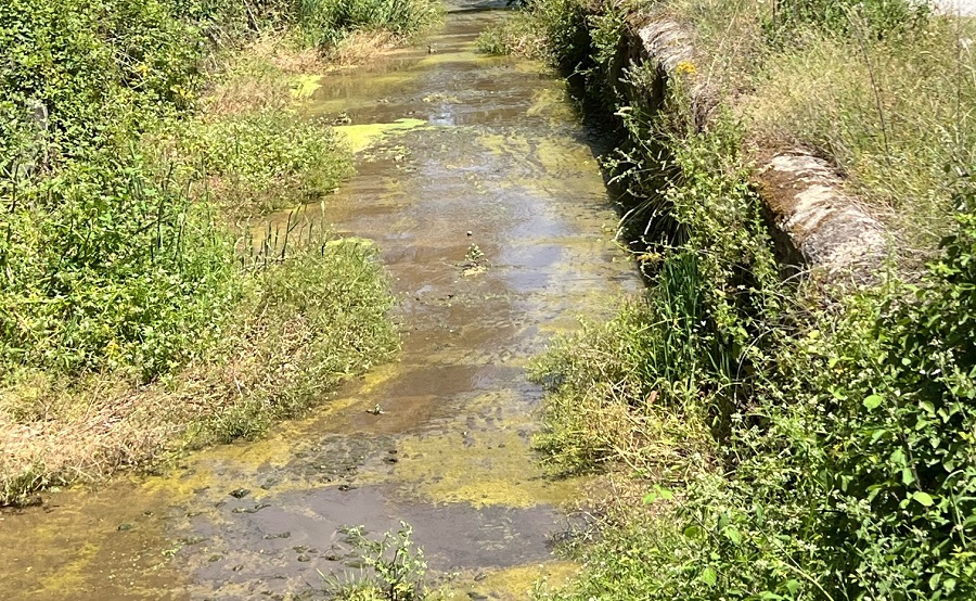 Θ. Μπίζιος: Η Δημοτική Αρχή έχει εγκαταλείψει τον Ελασσονίτη ποταμό