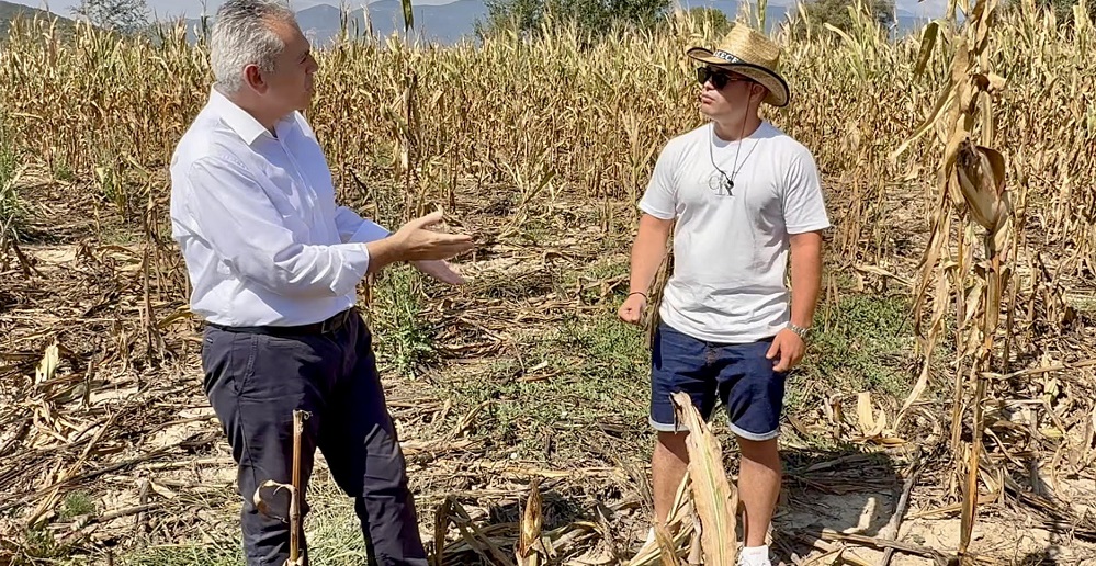 Μ. Χαρακόπουλος: Να αποζημιώνει ο ΕΛΓΑ ζημιές από αγριογούρουνα