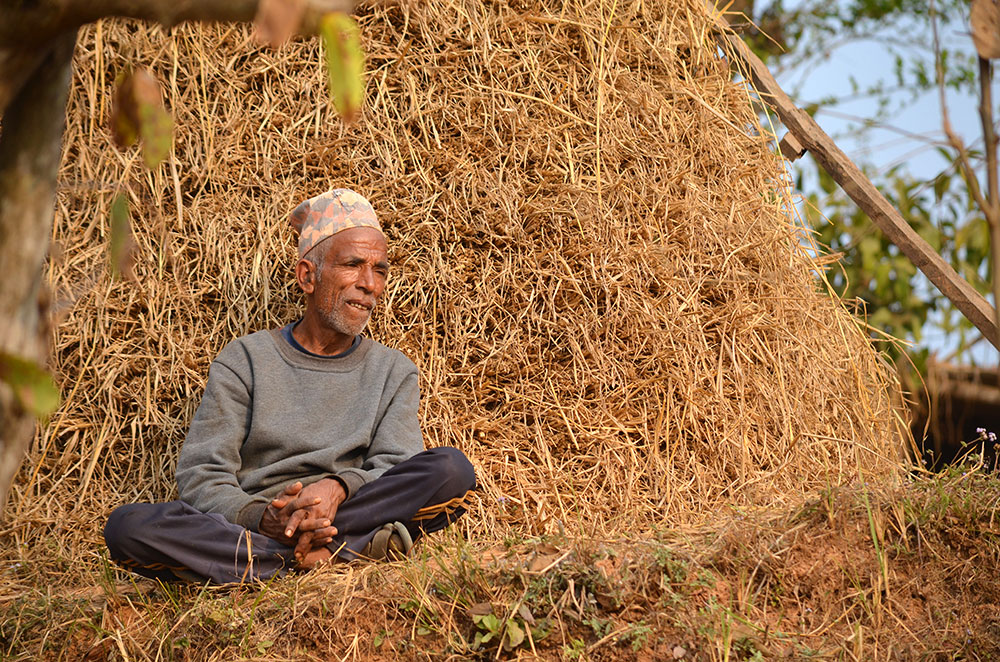 In celebration of the small farmers of Dhading district.