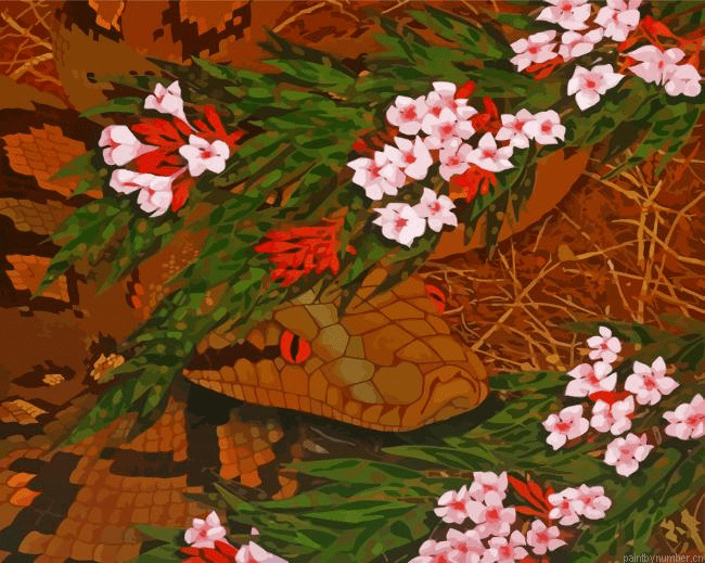 Python Snake And Flowers Paint by Number Kit