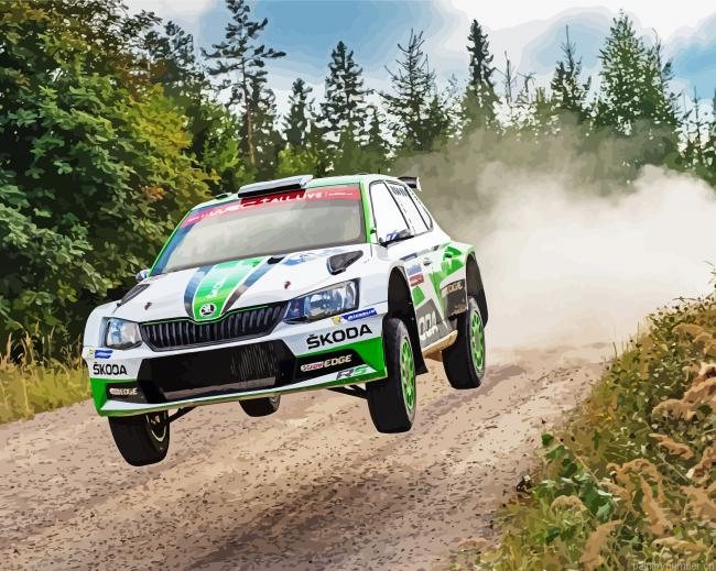 Rally Racing Paint by Number Kit