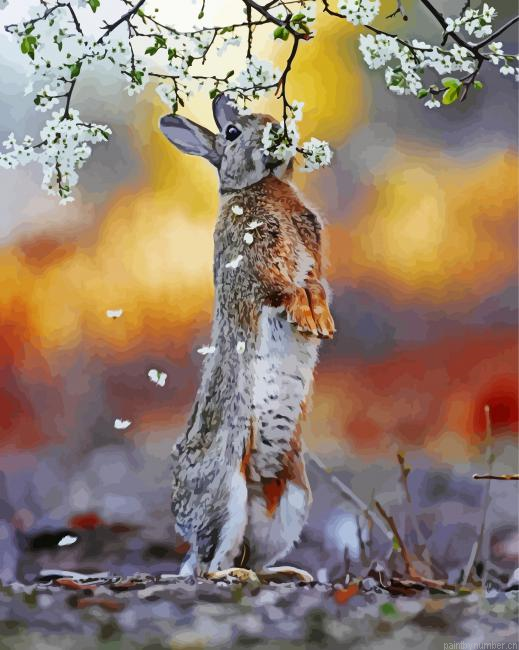 Small Rabbit With Flowers Paint by Number Kit