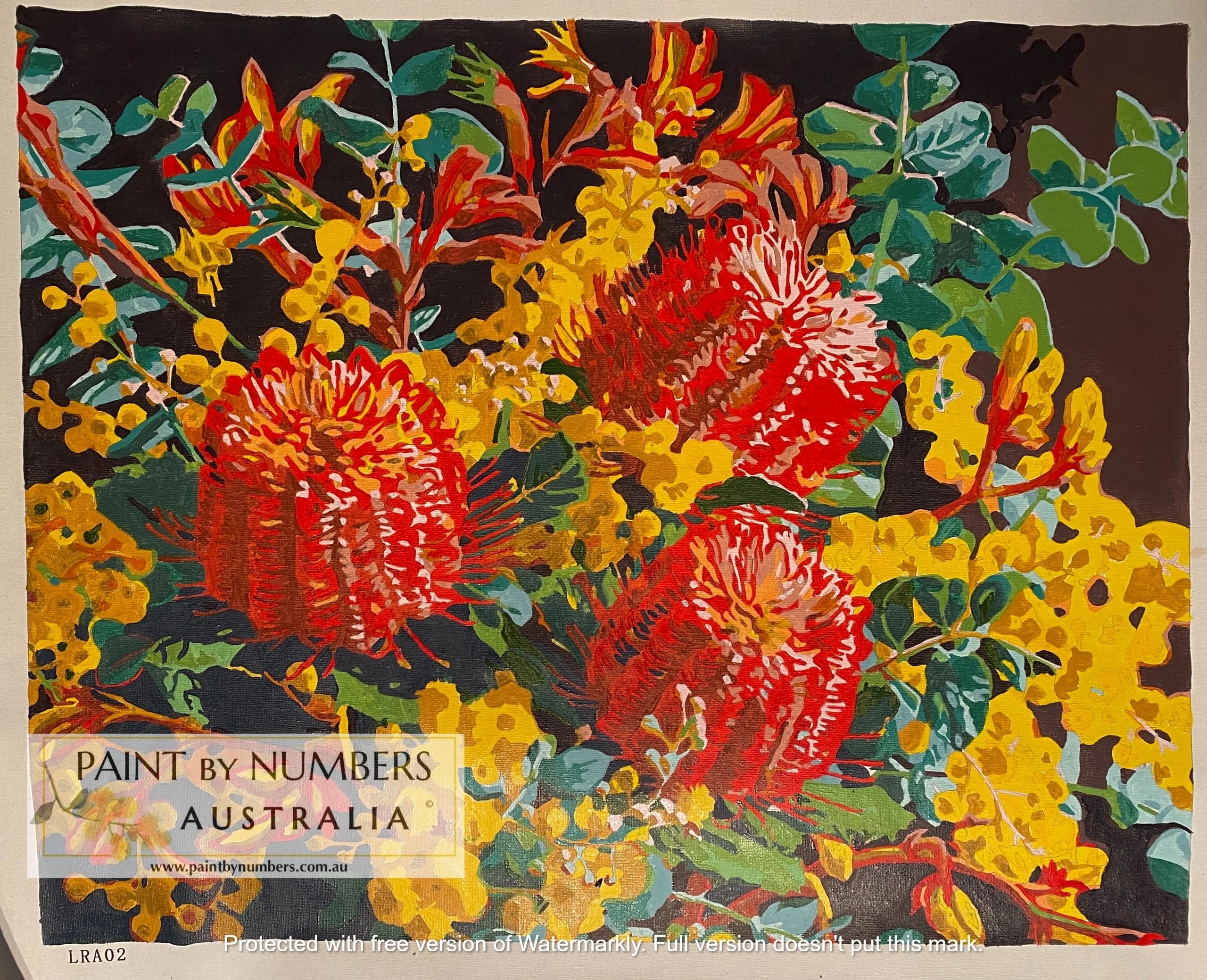 Official Paint By Numbers Australia Fast Delivery