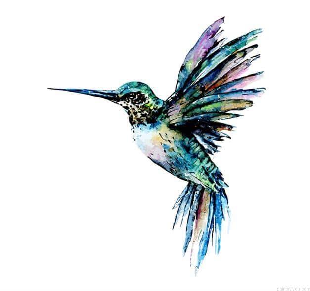 Hummingbird In Blue Green Colors Color By Numbers.jpeg