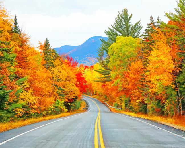 Road Autumn Trees Color By Numbers.jpeg