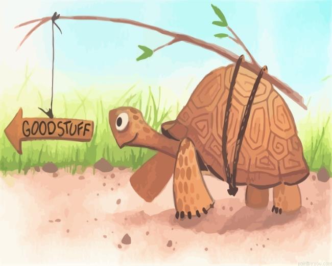 Tortoise Color By Numbers.jpeg