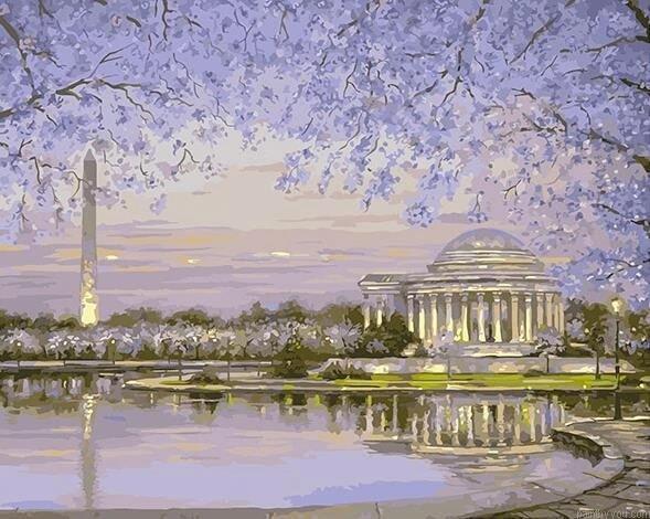 Washington Dc In Spring Cities Color By Numbers.jpeg