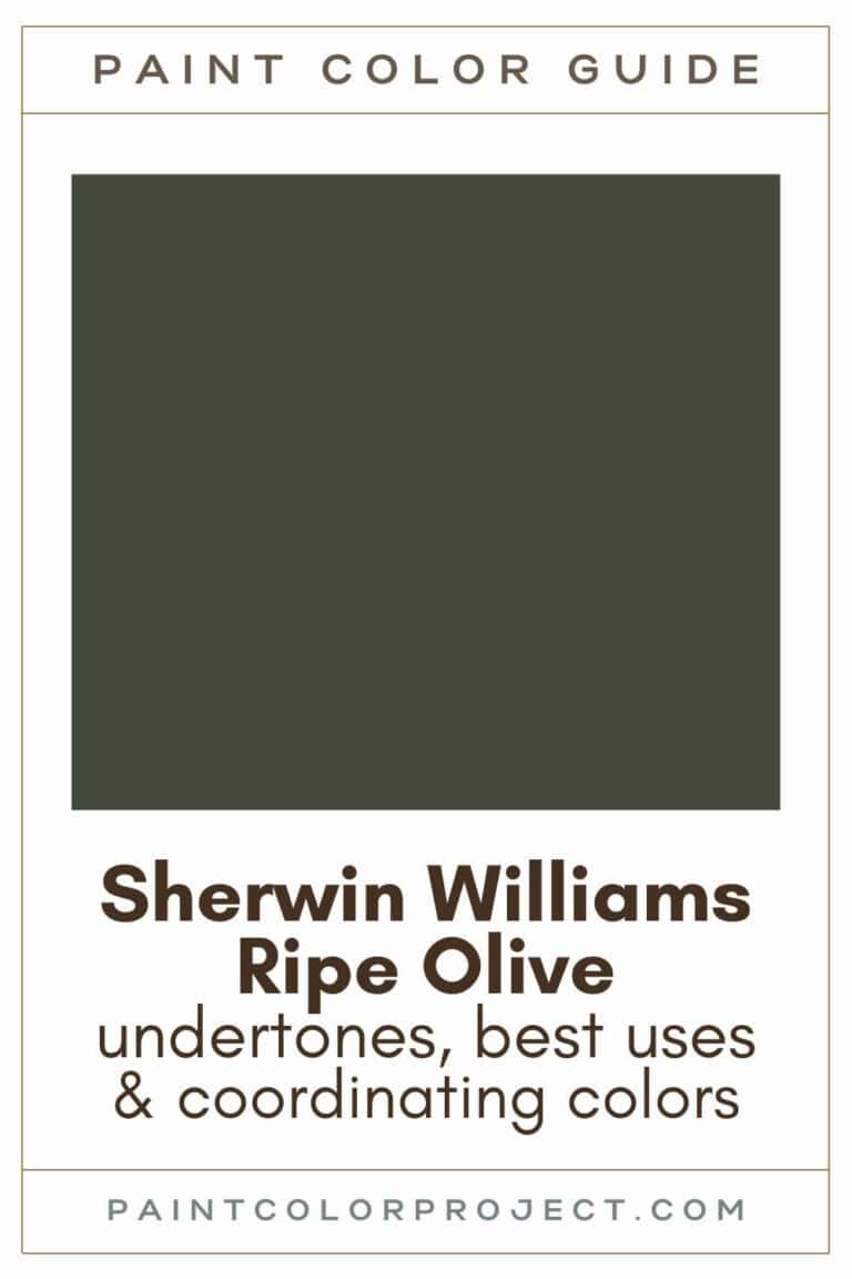 Sherwin williams ripe olive: complete color review