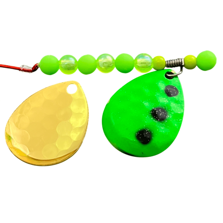 CATALYST crawler harness