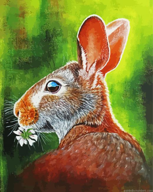 Beautiful Abstract Rabbit Paint by Numbers Kit
