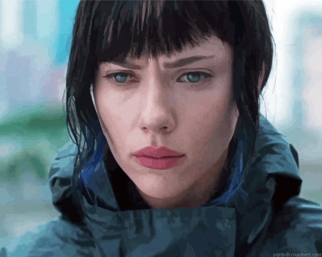 Ghost In The Shell Paint by Numbers Kit