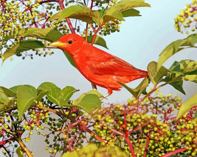 Red Bird In Tree Paint by Numbers Kit
