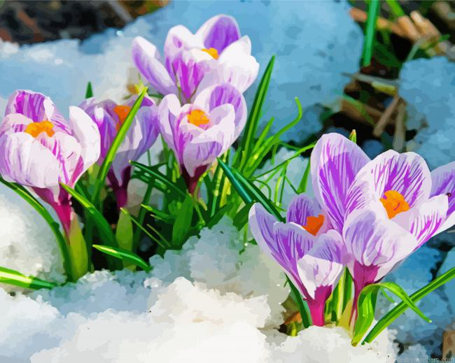 Spring Flowers In Snow Painting By Numbers.png
