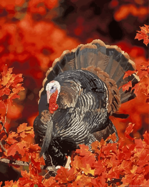 Turkey In Fall Painting By Numbers.png