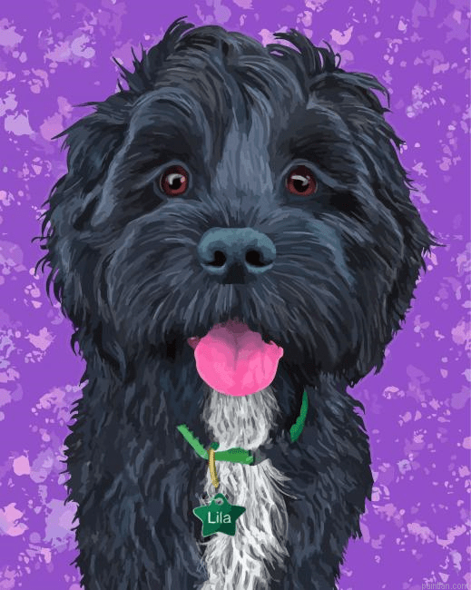 Abstract Black Cockapoo Painting by Numbers