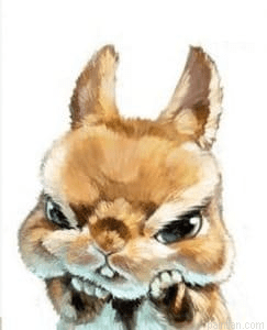 Angry Rabbit Painting by Numbers