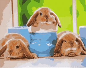 Baby Rabbits Painting by Numbers