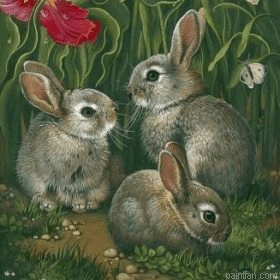Grey Rabbits Painting by Numbers