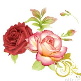 Heirloom Roses Painting by Numbers