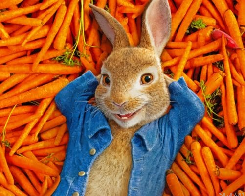 Peter Rabbit Painting by Numbers