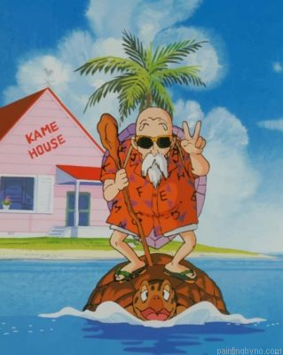 Master Roshi Character Paint By Number Kit
