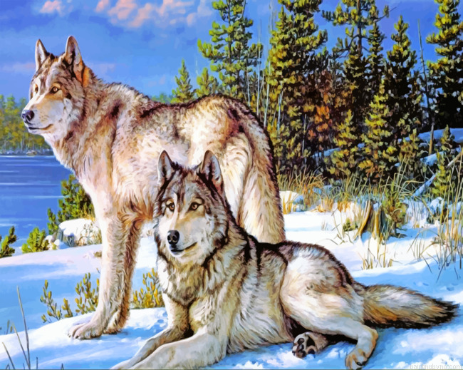 Wolves In Snow Paint By Number Kit