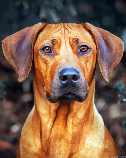 Aesthetic Rhodesian Ridgeback Painting By Numberss.png