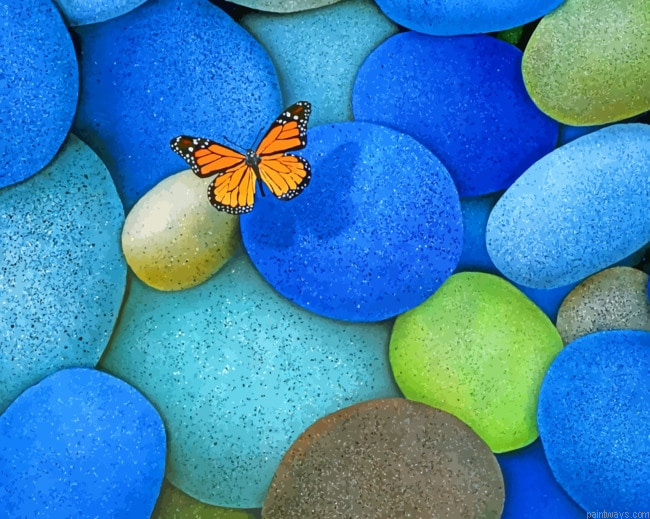 Butterfly On Rocks Insects Painting By Numberss.png