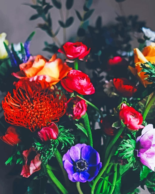 Colorful Collection Of Flowers Roses Painting By Numberss.png