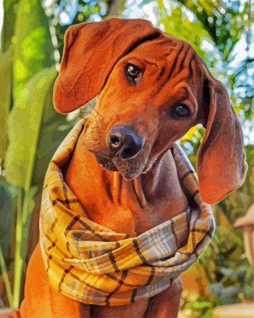 Cute Ridgeback Painting By Numberss.png
