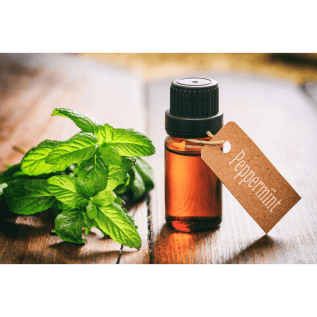 An image of bottle of peppermint oil with peppermint leaves next to it.