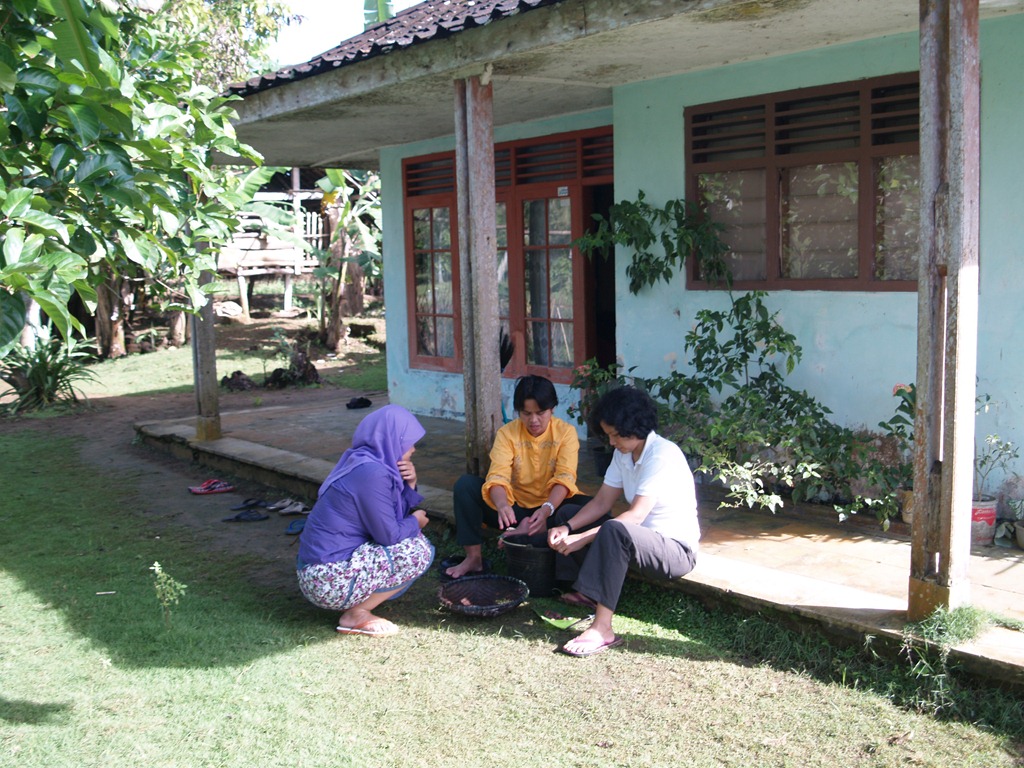 Download Gratis Gambar Bayangkan Pohon Ini Ada Di Depan Rumah Kebun Bibit Medan Terbaru by Lampung Hits