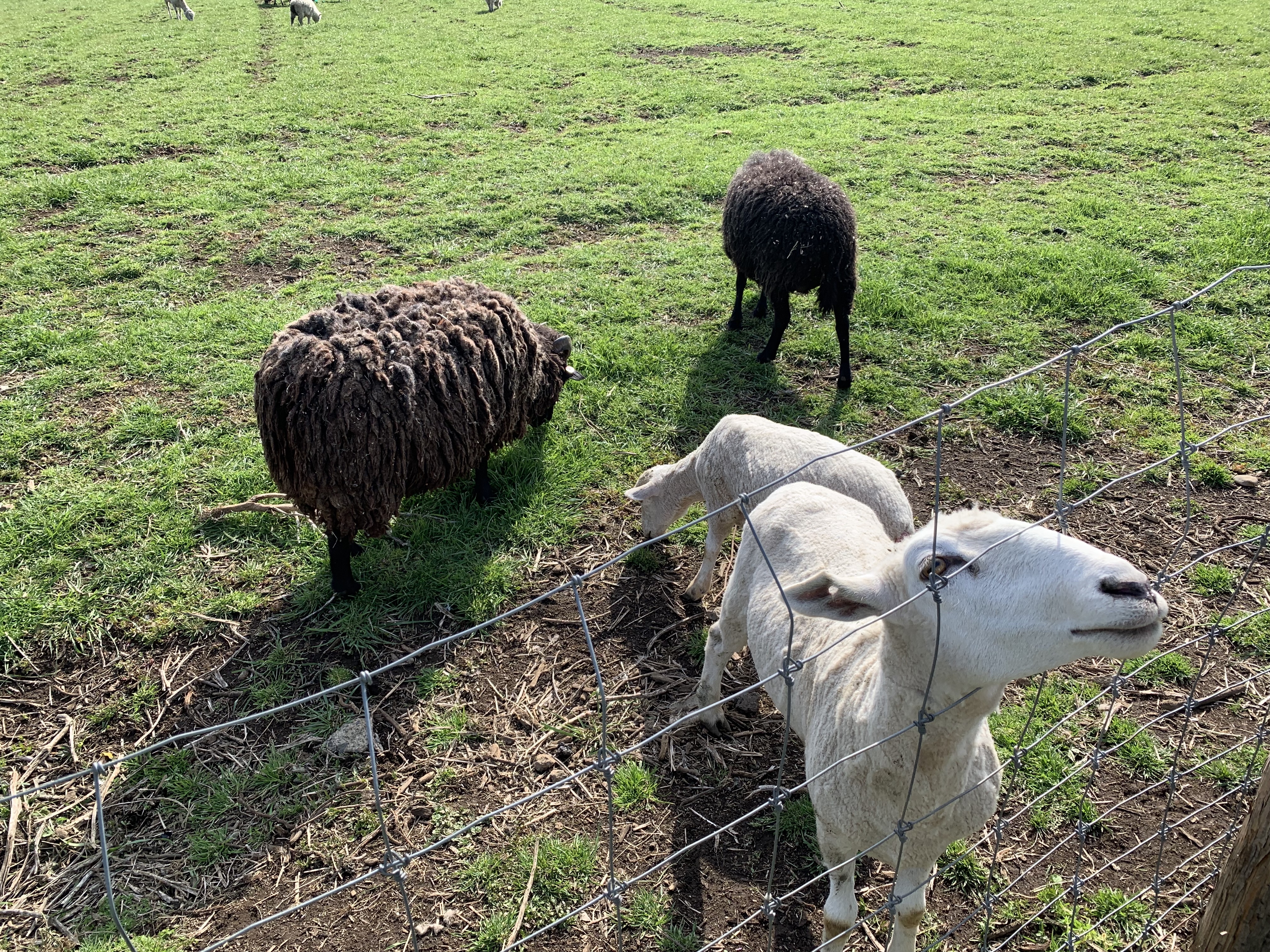 20190331_053136341_iOS