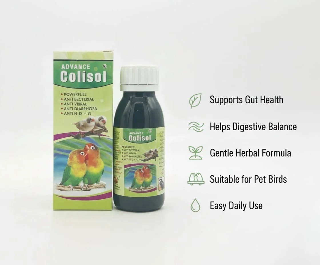 Advance Colsiol Green Syrup for birds Benefits