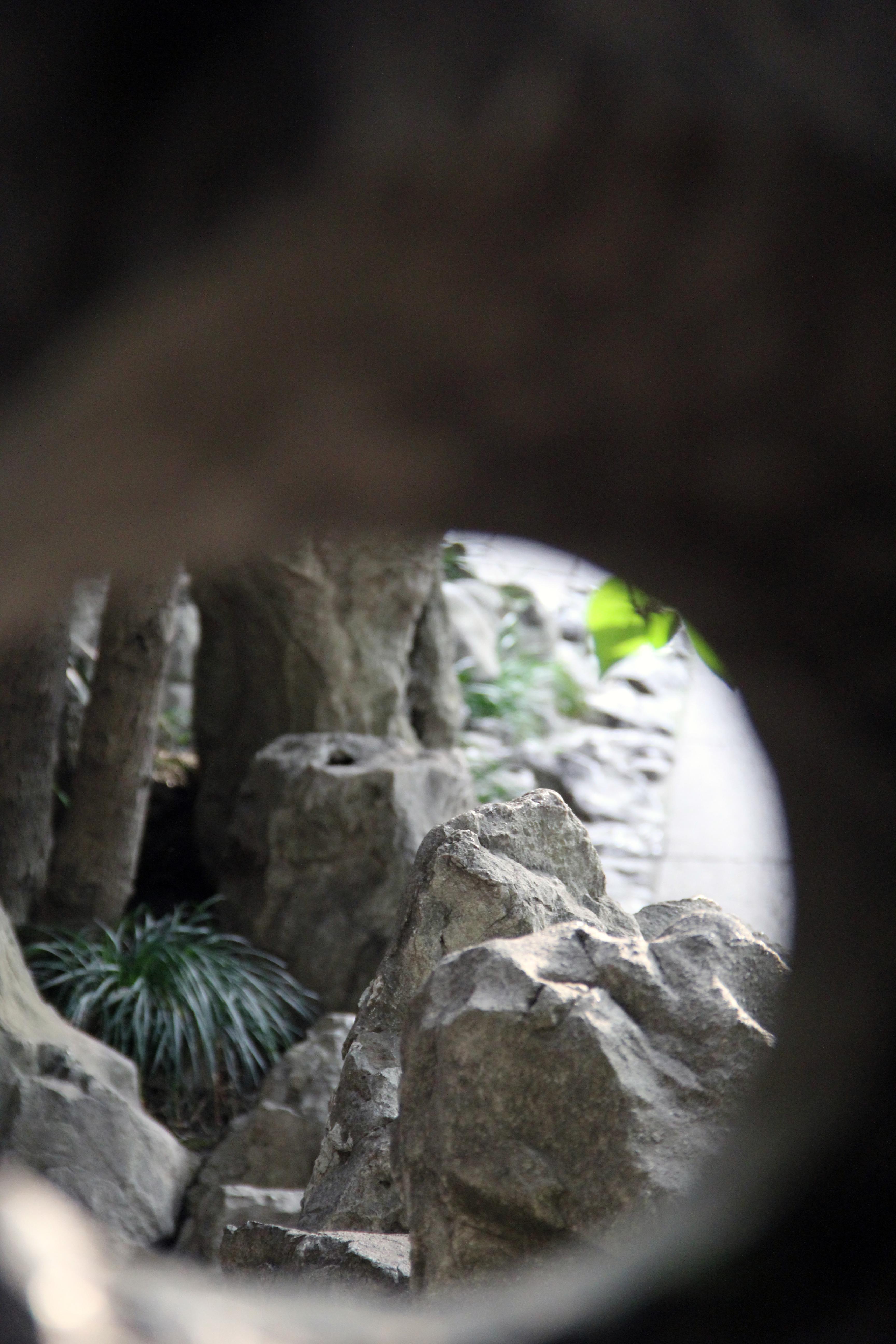 Shanghai-rock