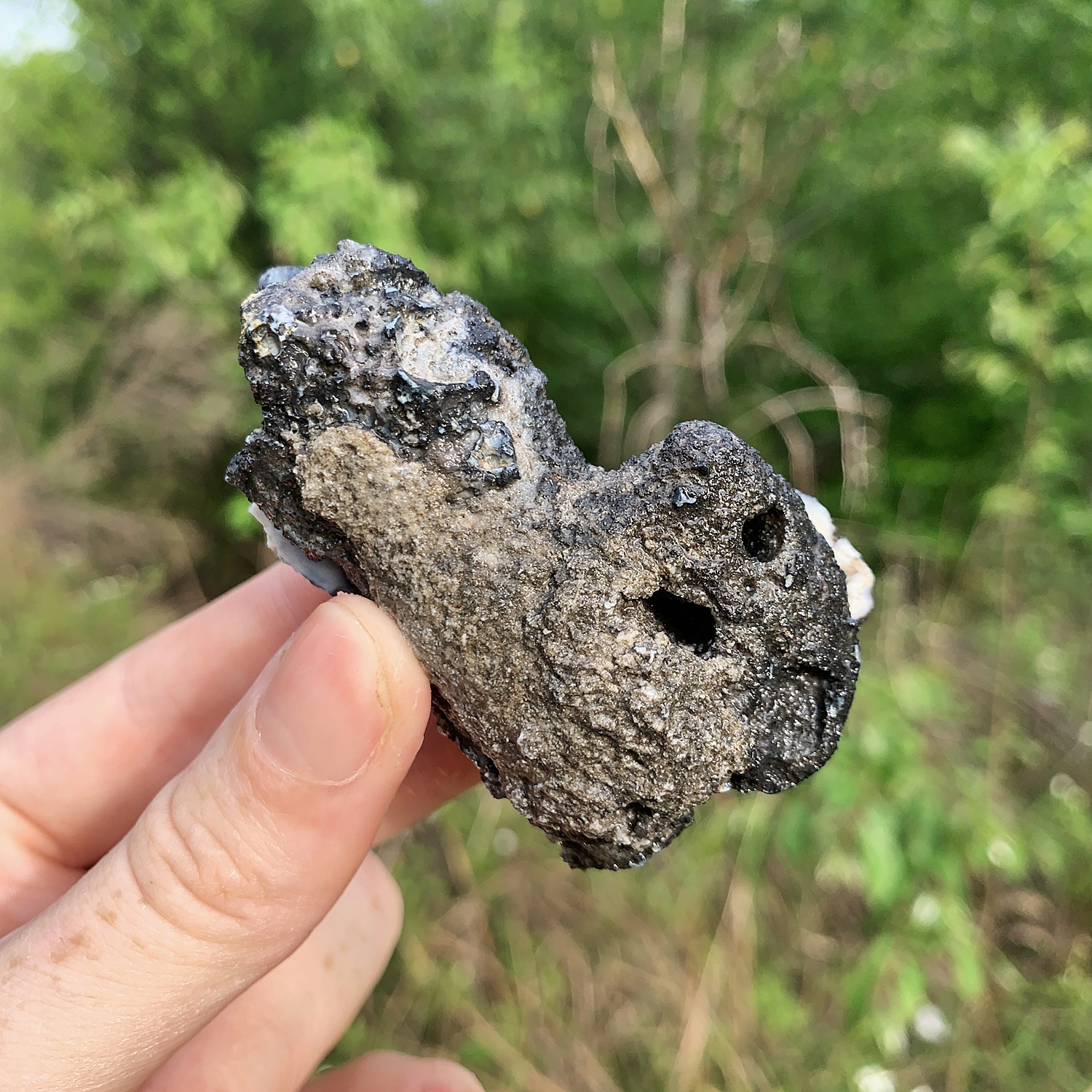Agatized Coral Geode - PaleoCris