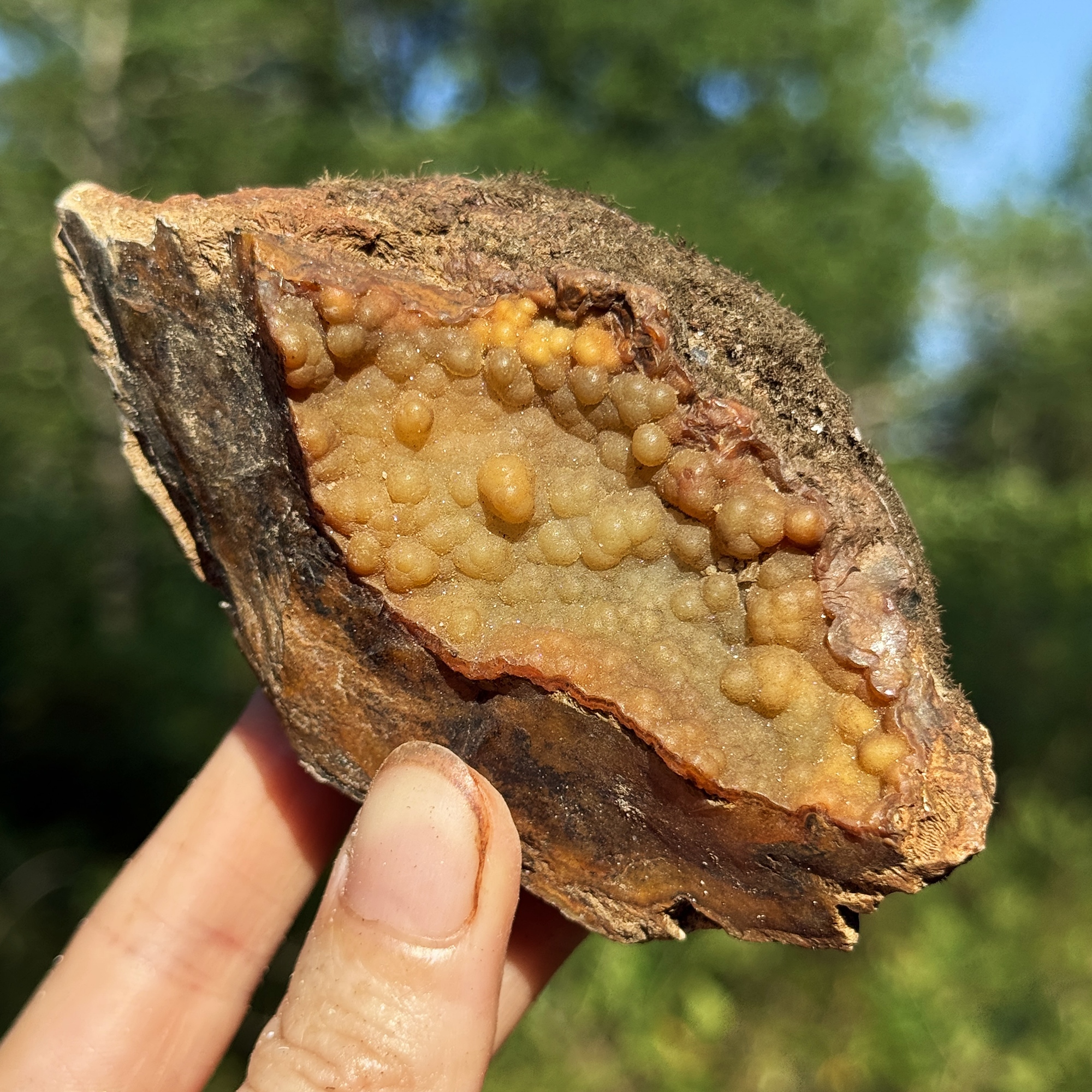 Crystals & Minerals for Sale - PaleoCris