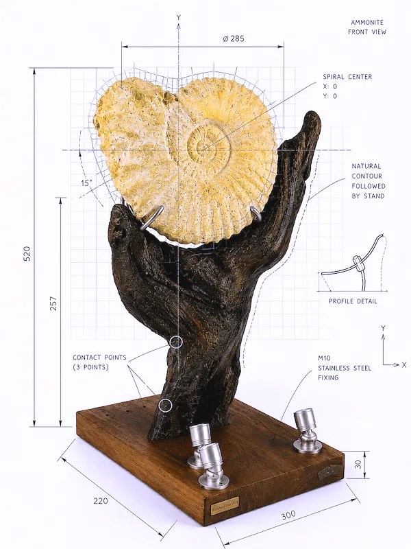 Fossil Art, Artistic Lighting, Ancient Art Pieces Illuminated Fossils, Creative Design, Natural Light Displays Paleoglow Art, Museum Showcase, One-of-a-Kind Artworks