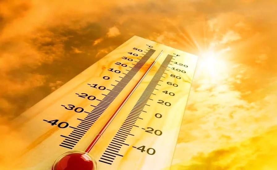 l'estate più calda degli ultimi 20 anni